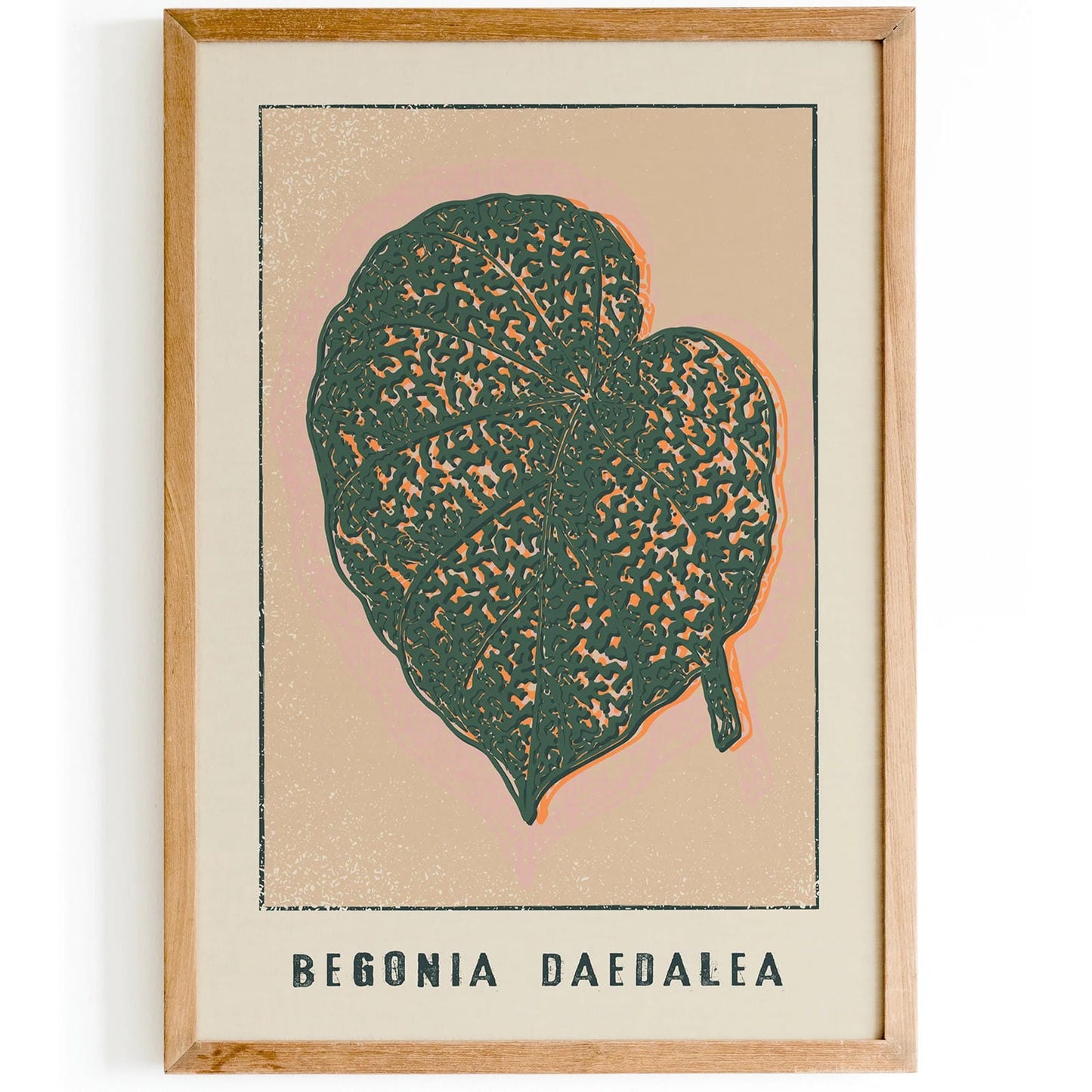 Begonia Daedalea Floral Wall Art