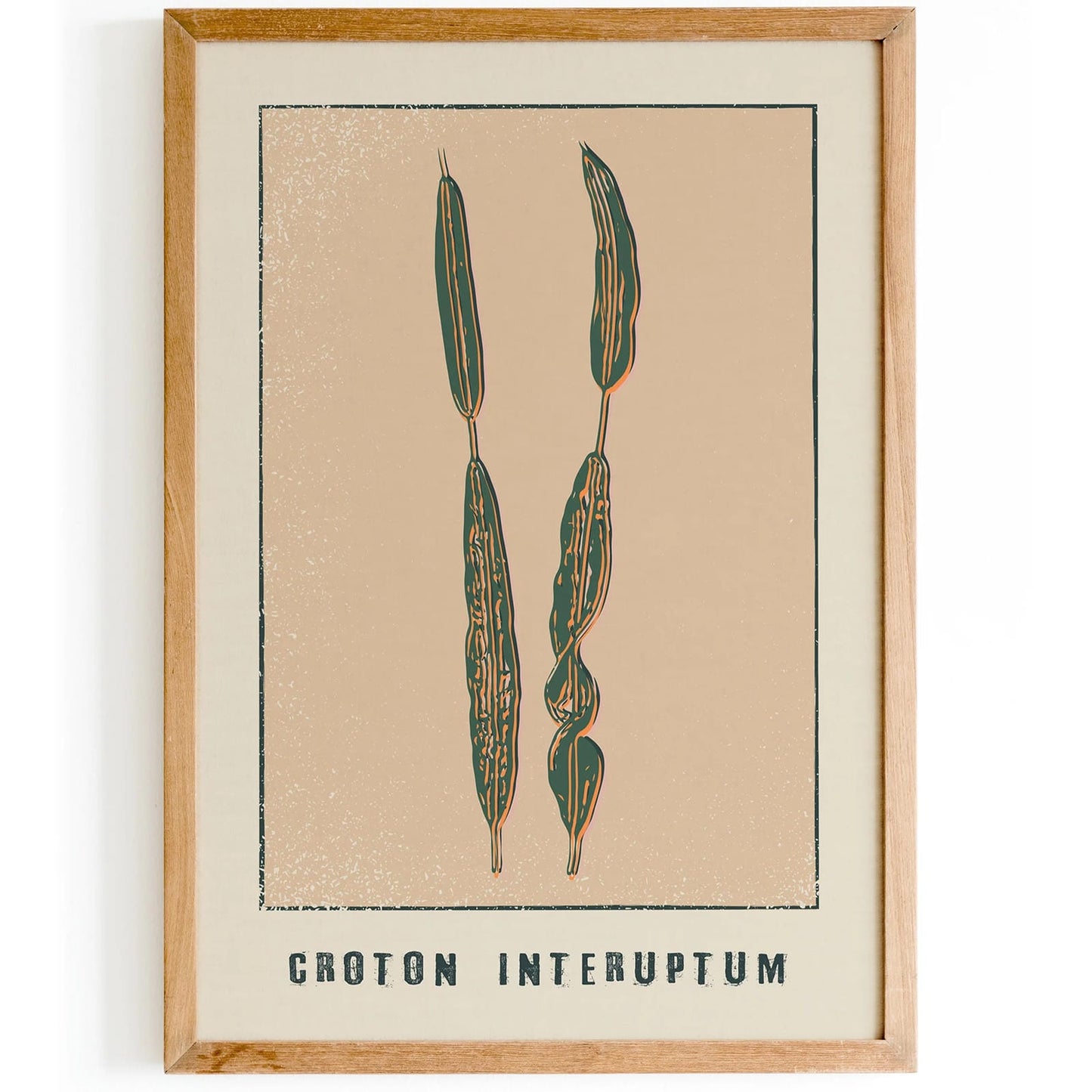 Croton Interuptum Vintage Floral Print