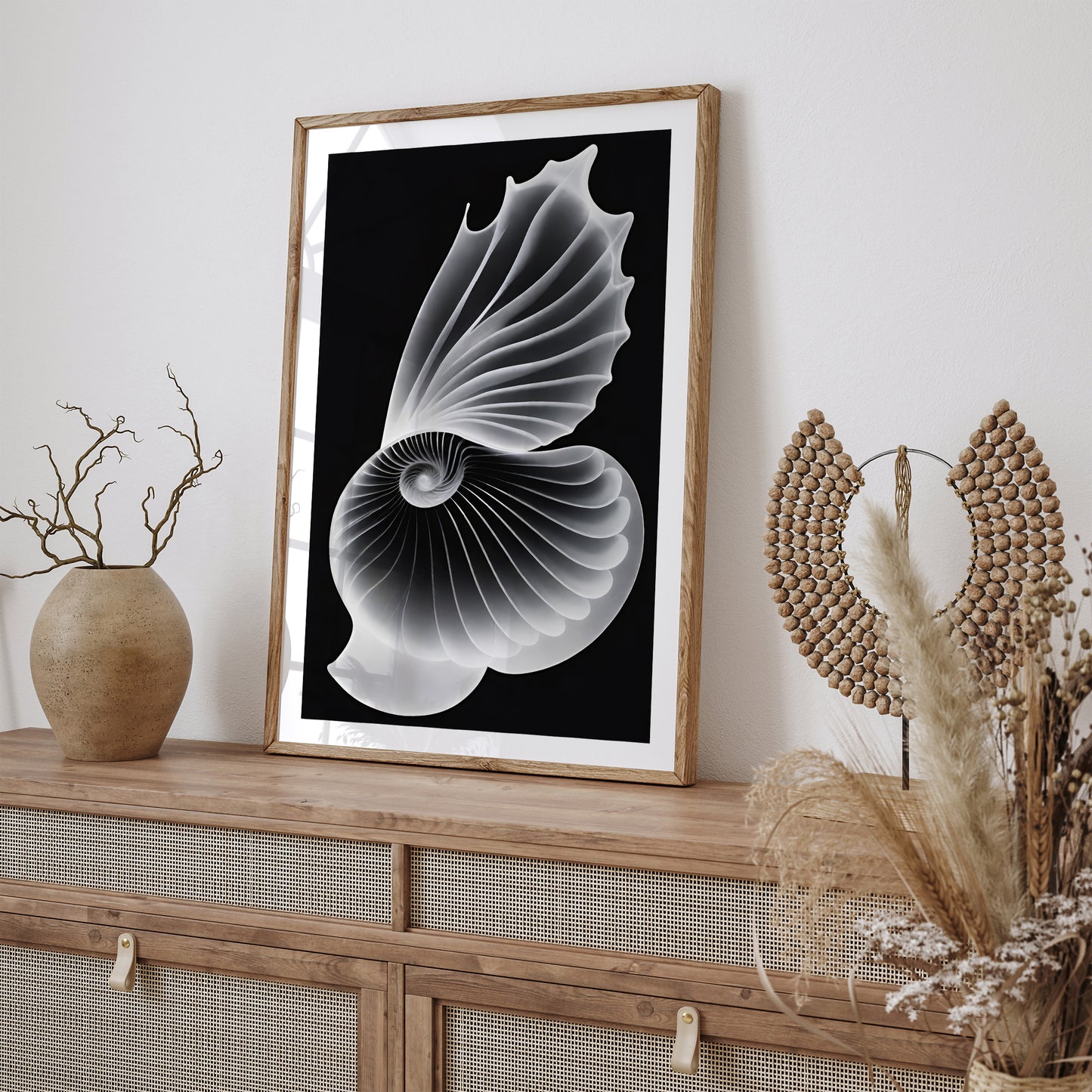 Seashells Ernst Haeckel Wall Art