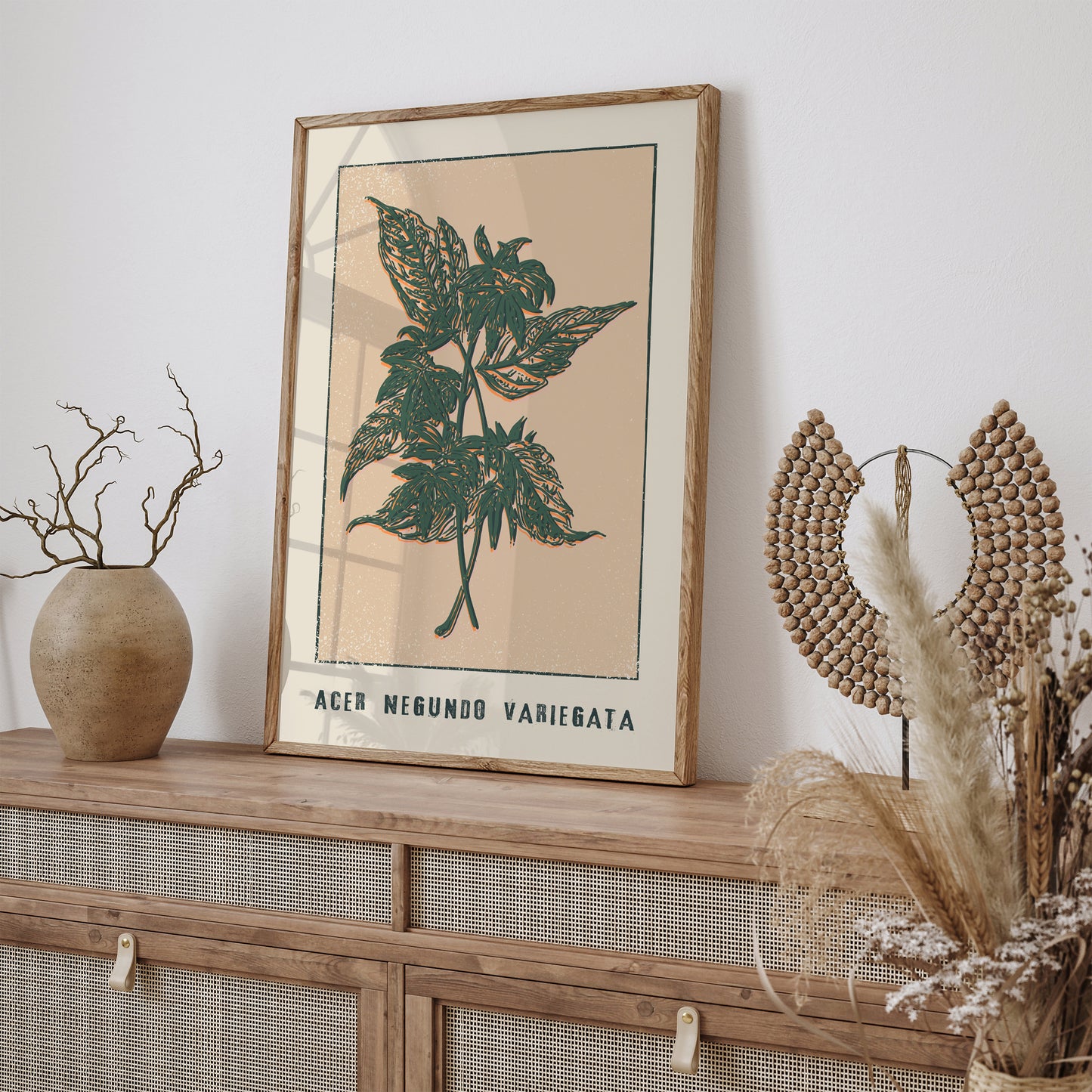 Acer Negundo Variegata Plant Poster