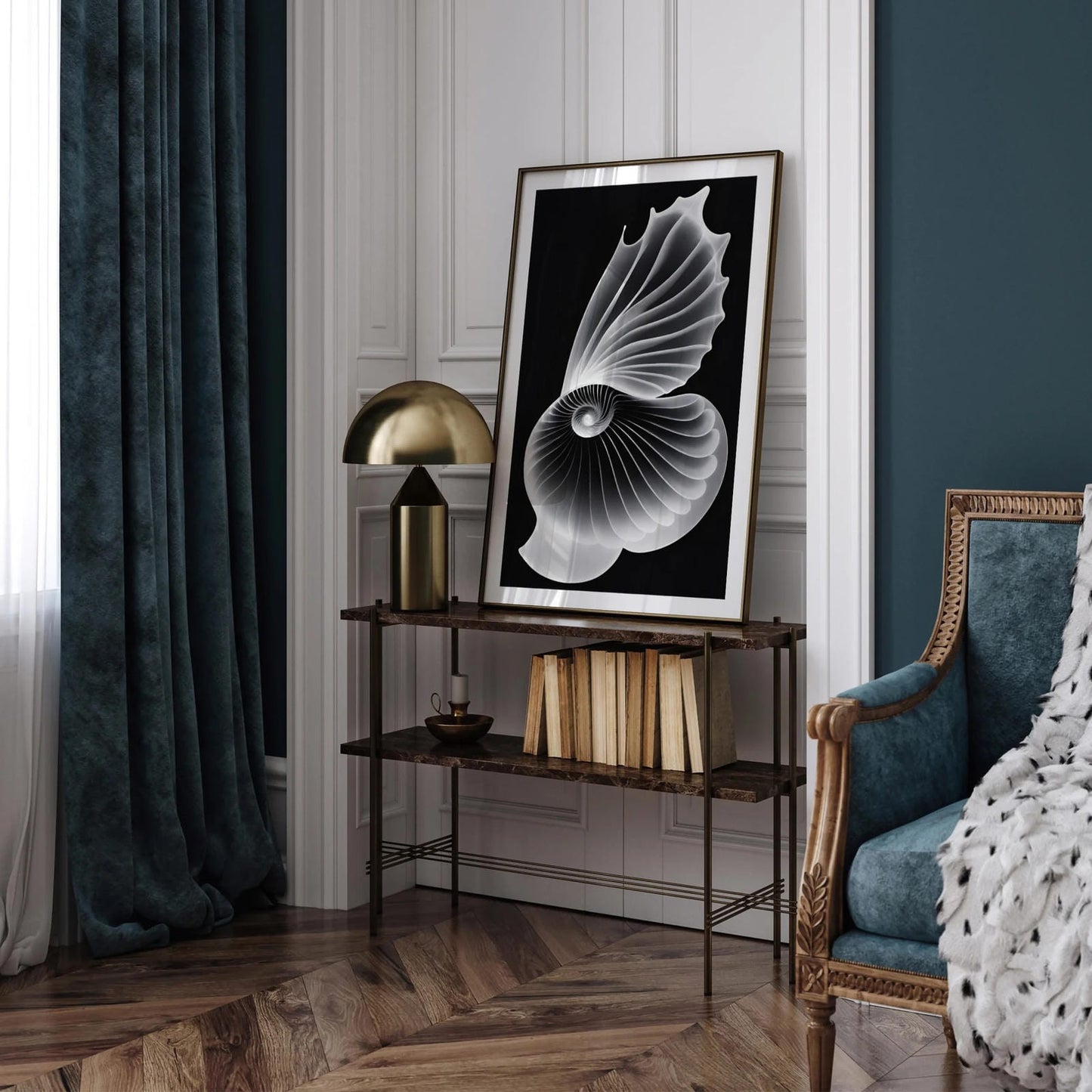 Seashells Ernst Haeckel Wall Art