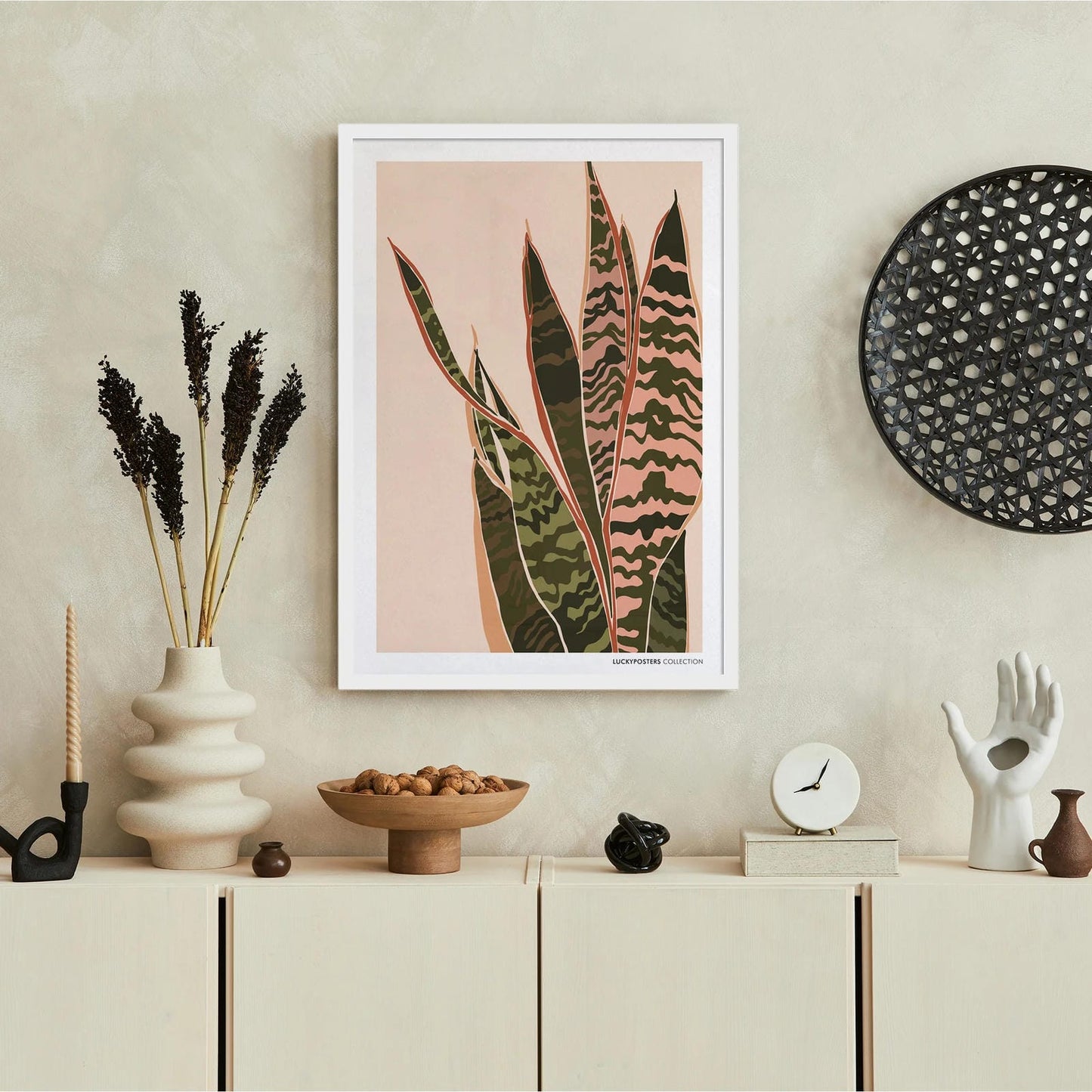 Sansevieria Trifasciata Poster