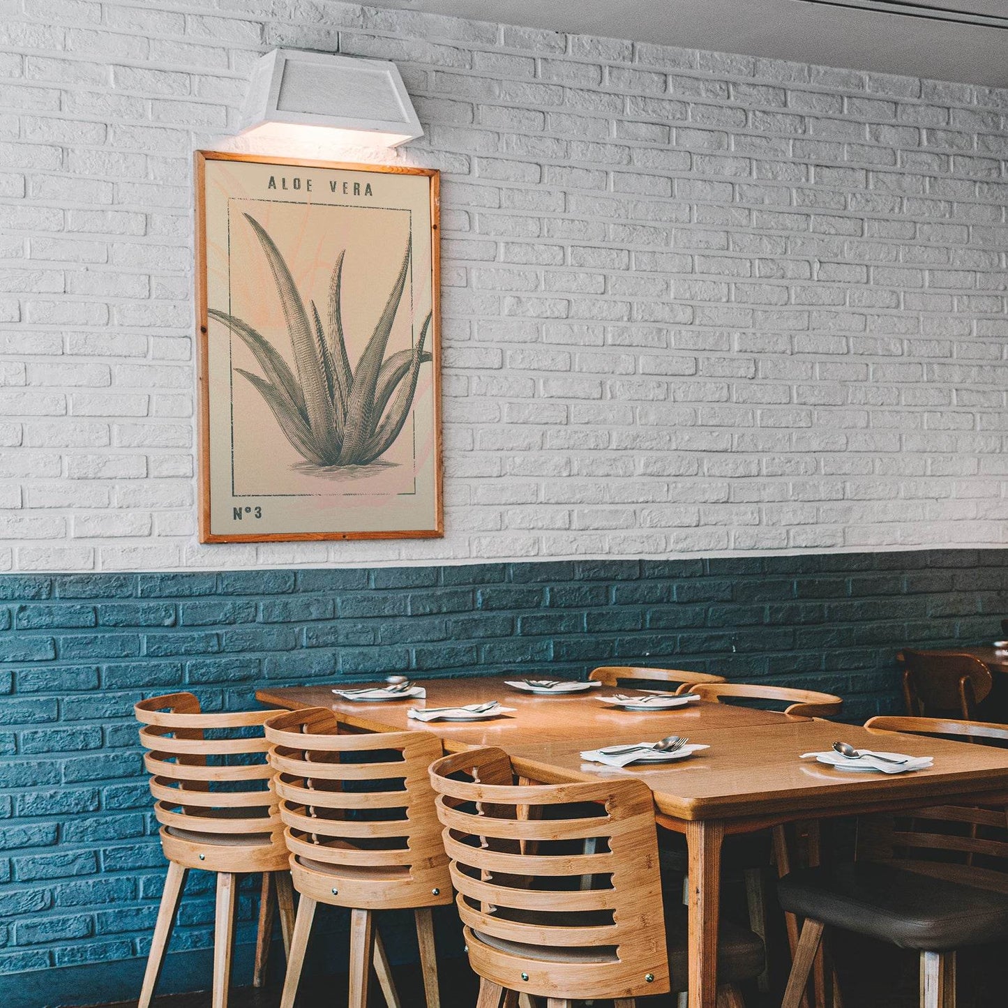 Aloe Vera Vintage Art Print - HypeSheriff Europe