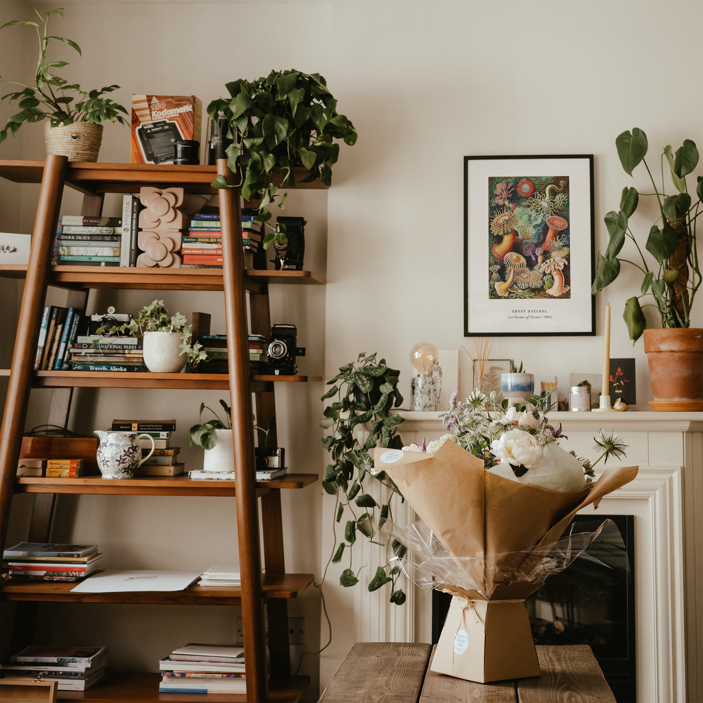 E. Haeckel, Art Forms of Nature No.1 Poster