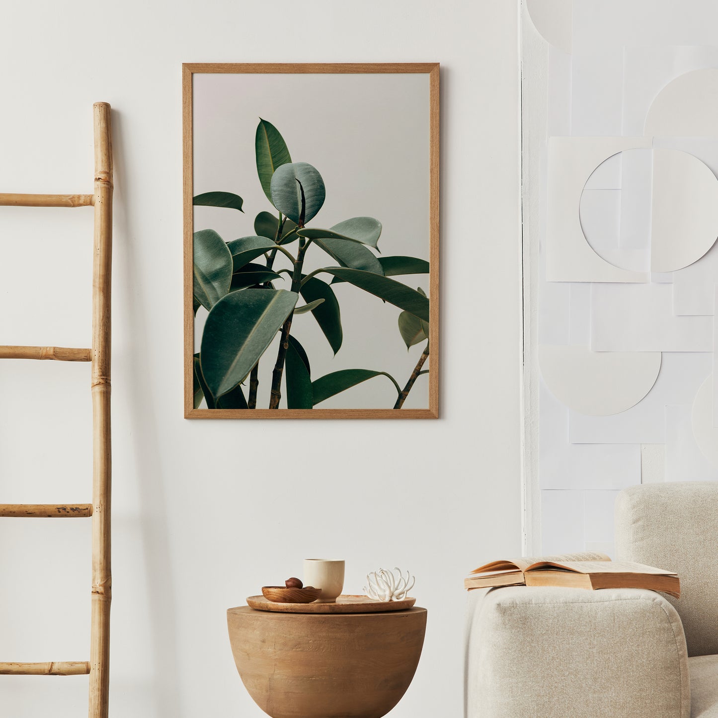 Rubber Tree Plant Photographic Poster