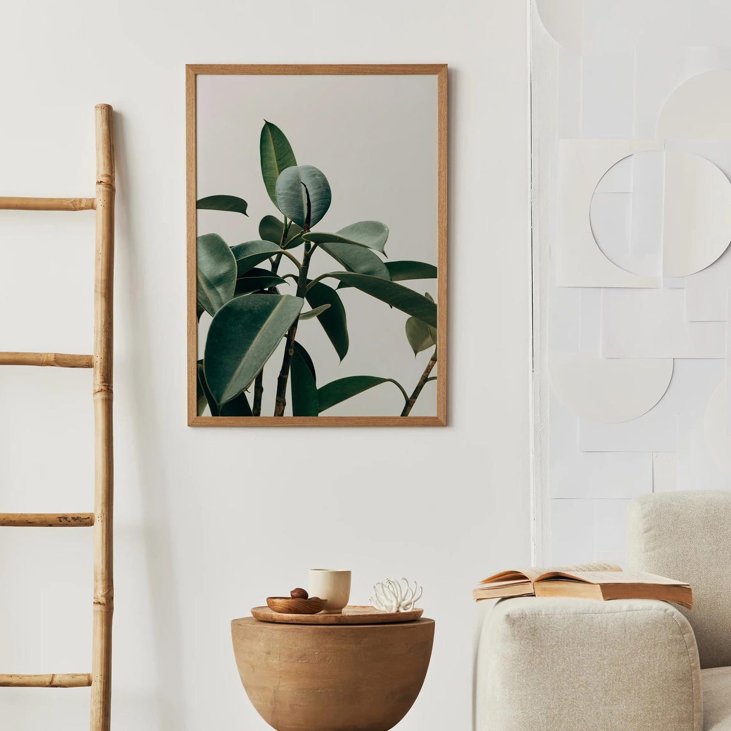 Rubber Tree Plant Photographic Poster
