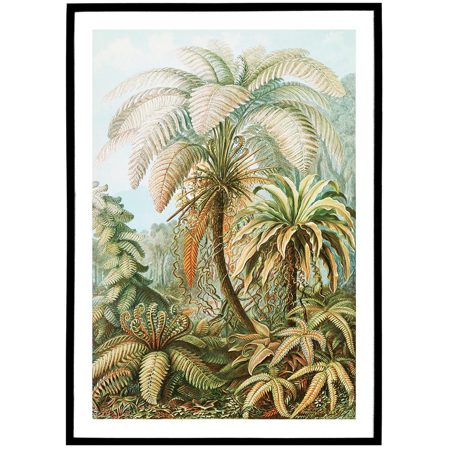 E. Haeckel Tropical Paradise Poster