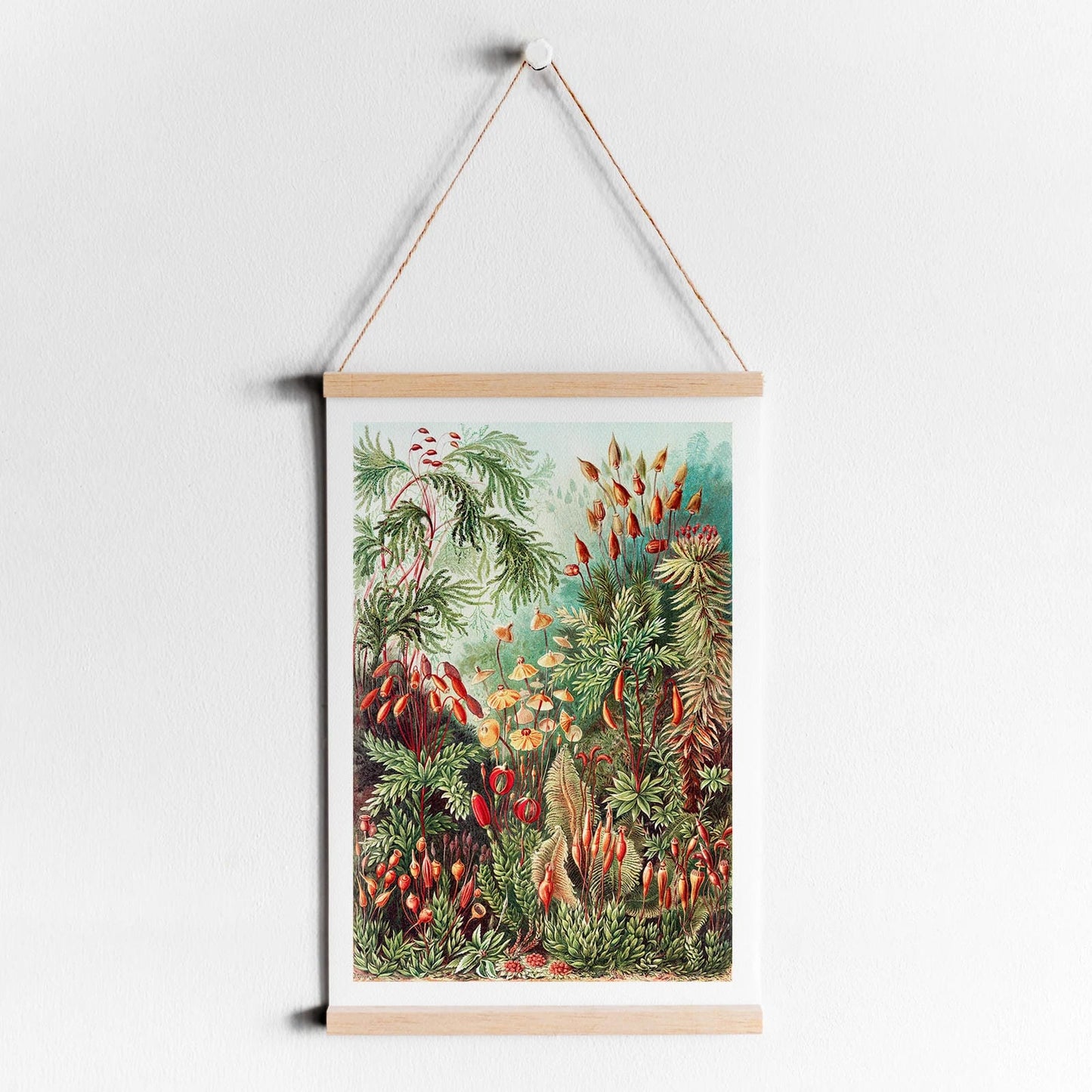 Ernst Haeckel Nature Poster