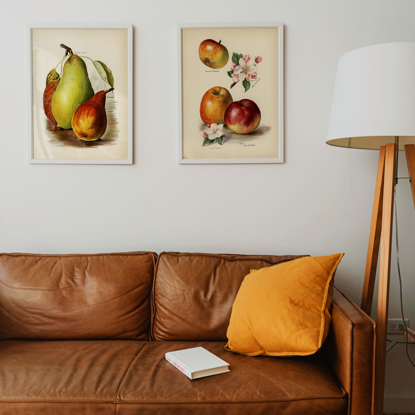 Miss May Rivers Vintage Fruits Posters