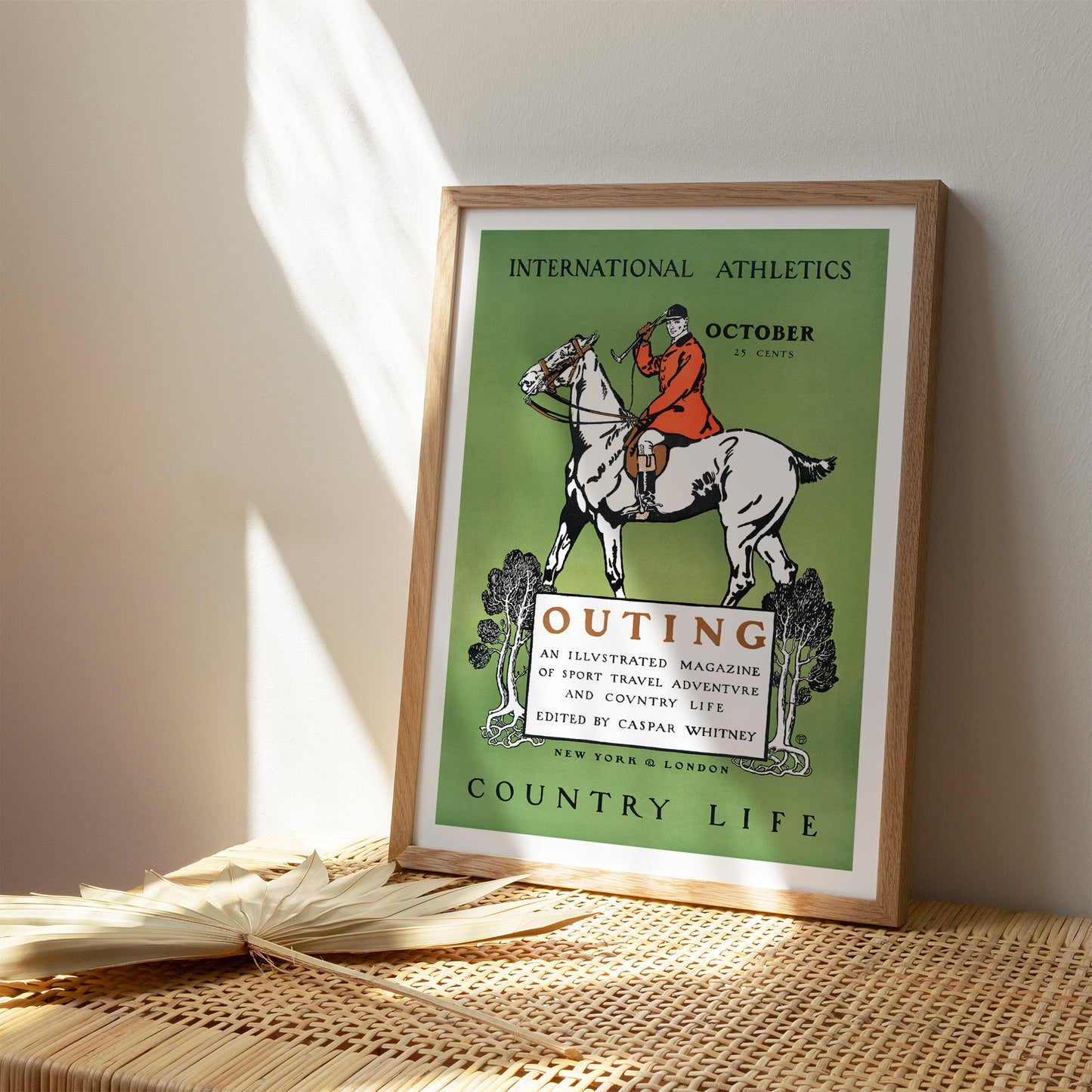 Country Life Vintage Magazine Poster