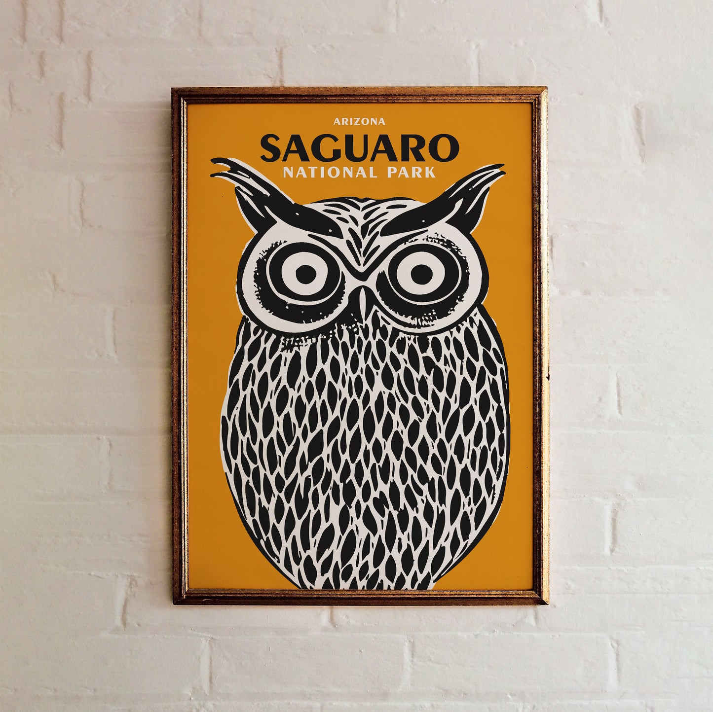 Arizona Saguaro National Park Poster