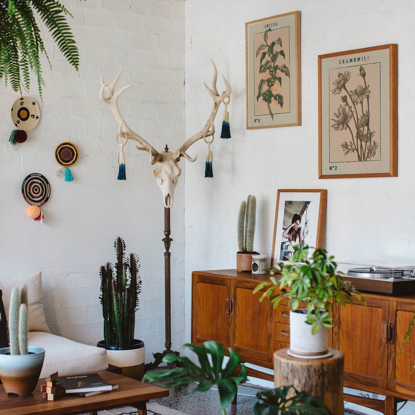 Vintage Chamomile Art Print - HypeSheriff Europe