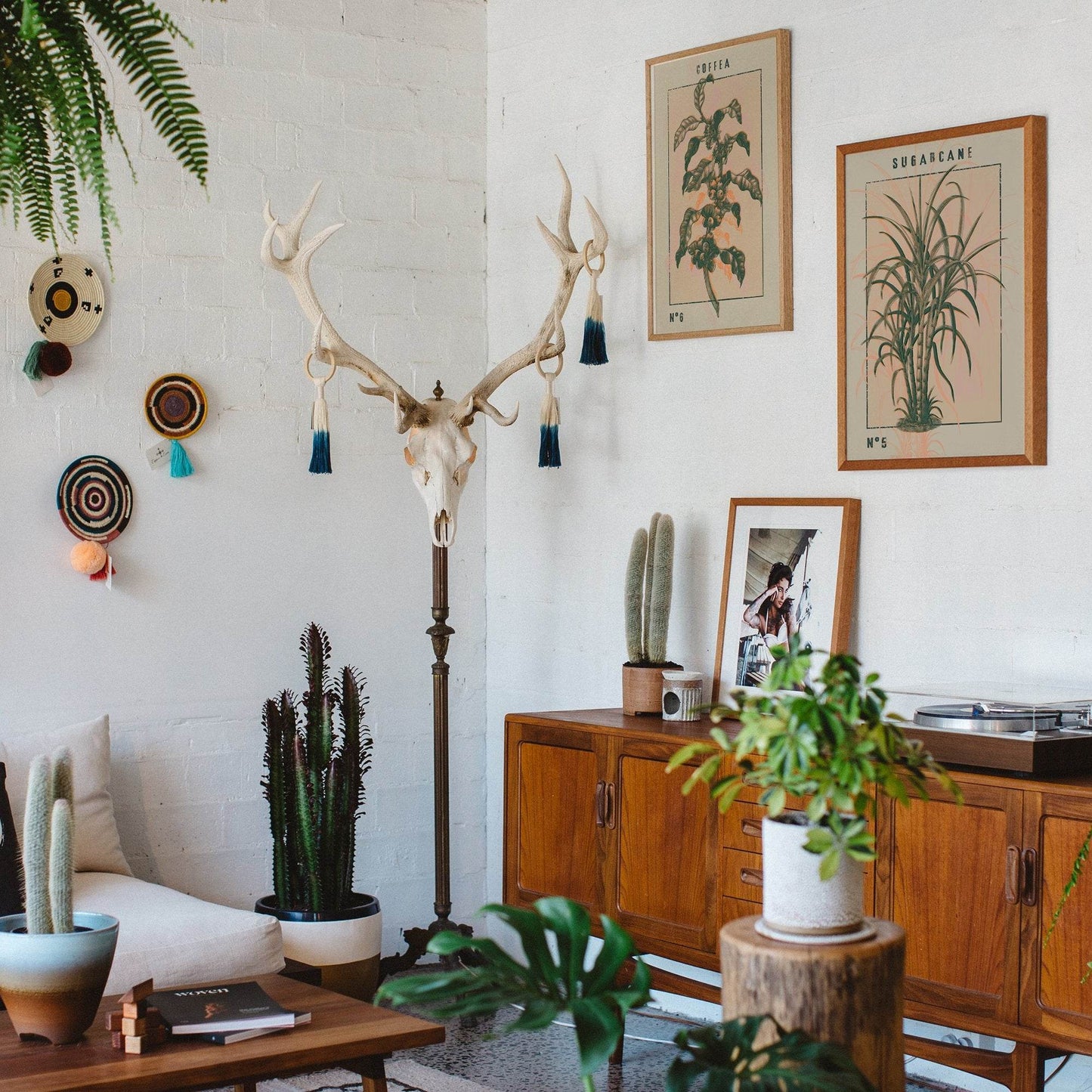 Sugarcane Vintage Poster - HypeSheriff Europe