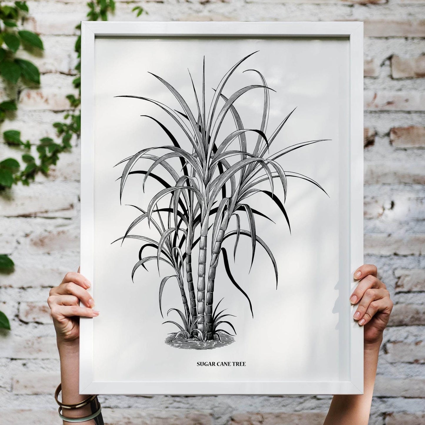 Sugar Cane Tree Retro Art Print - HypeSheriff Europe