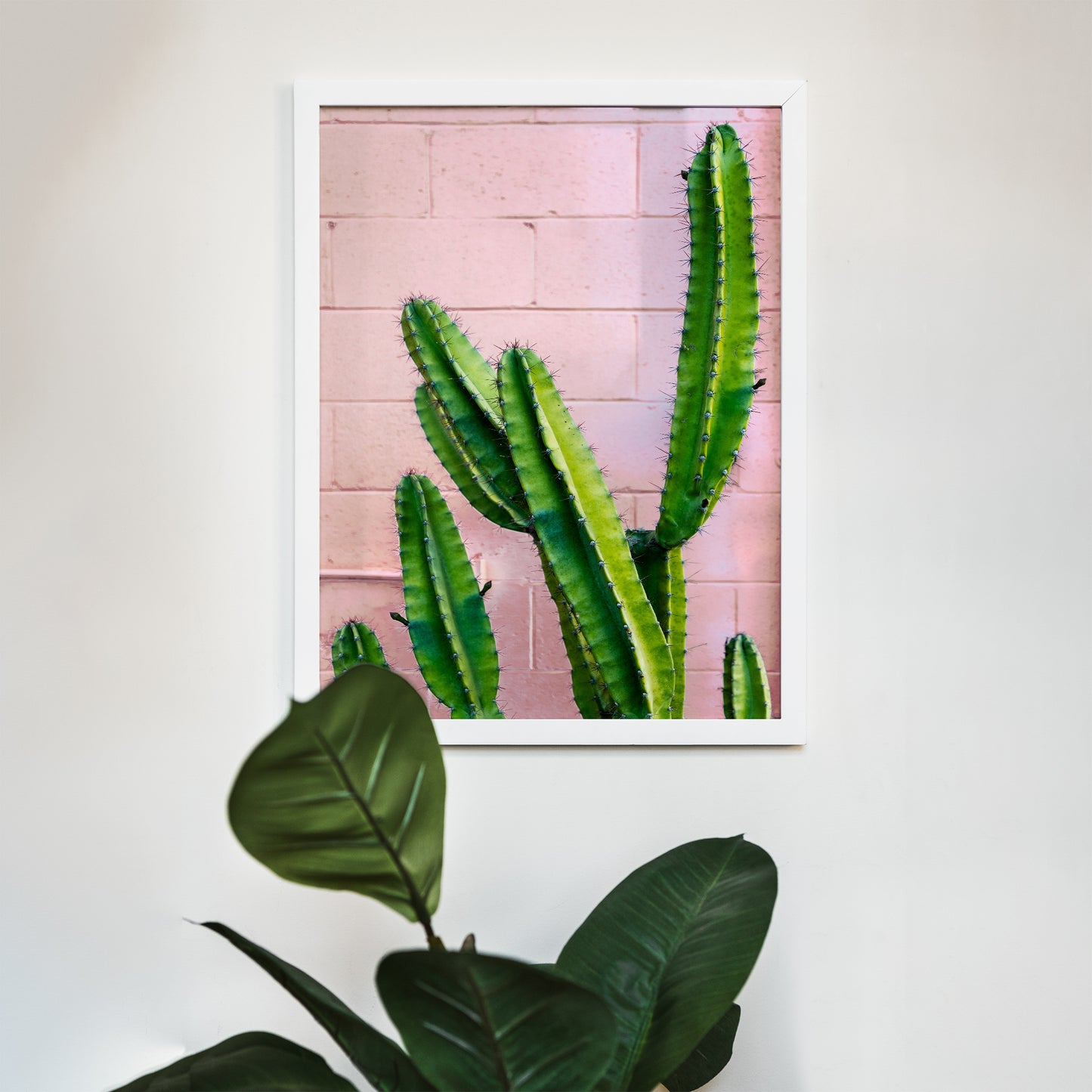 Eclectic Cactus Photo Print