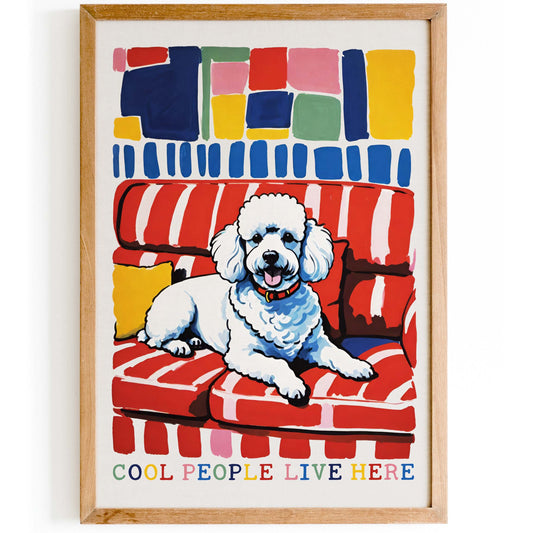 White Poodle Sofa Poster Print