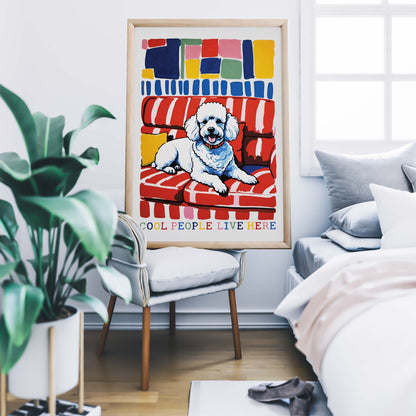 White Poodle Sofa Poster Print
