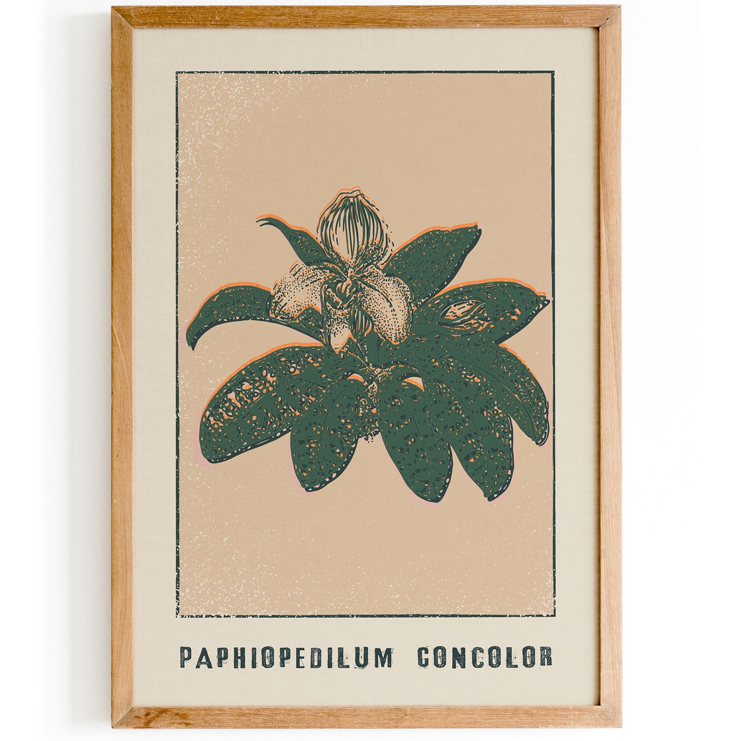 Paphiopedilum Goncolor Floral Print