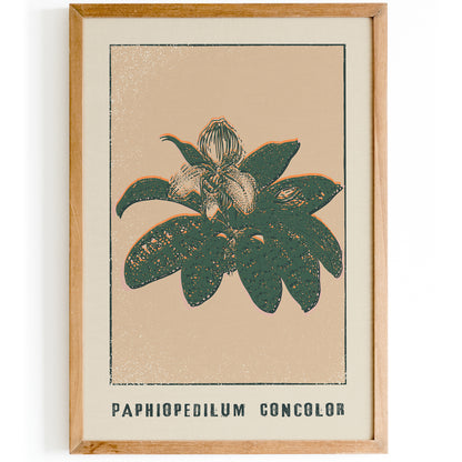 Paphiopedilum Goncolor Floral Print