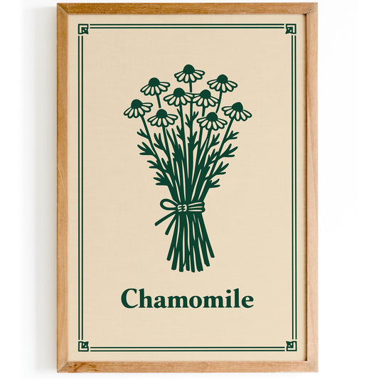 Chamomile Minimalist Kitchen Art Poster