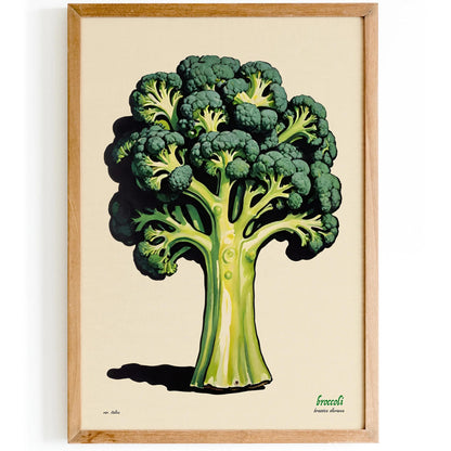Fresh Broccoli Botanical Art Print