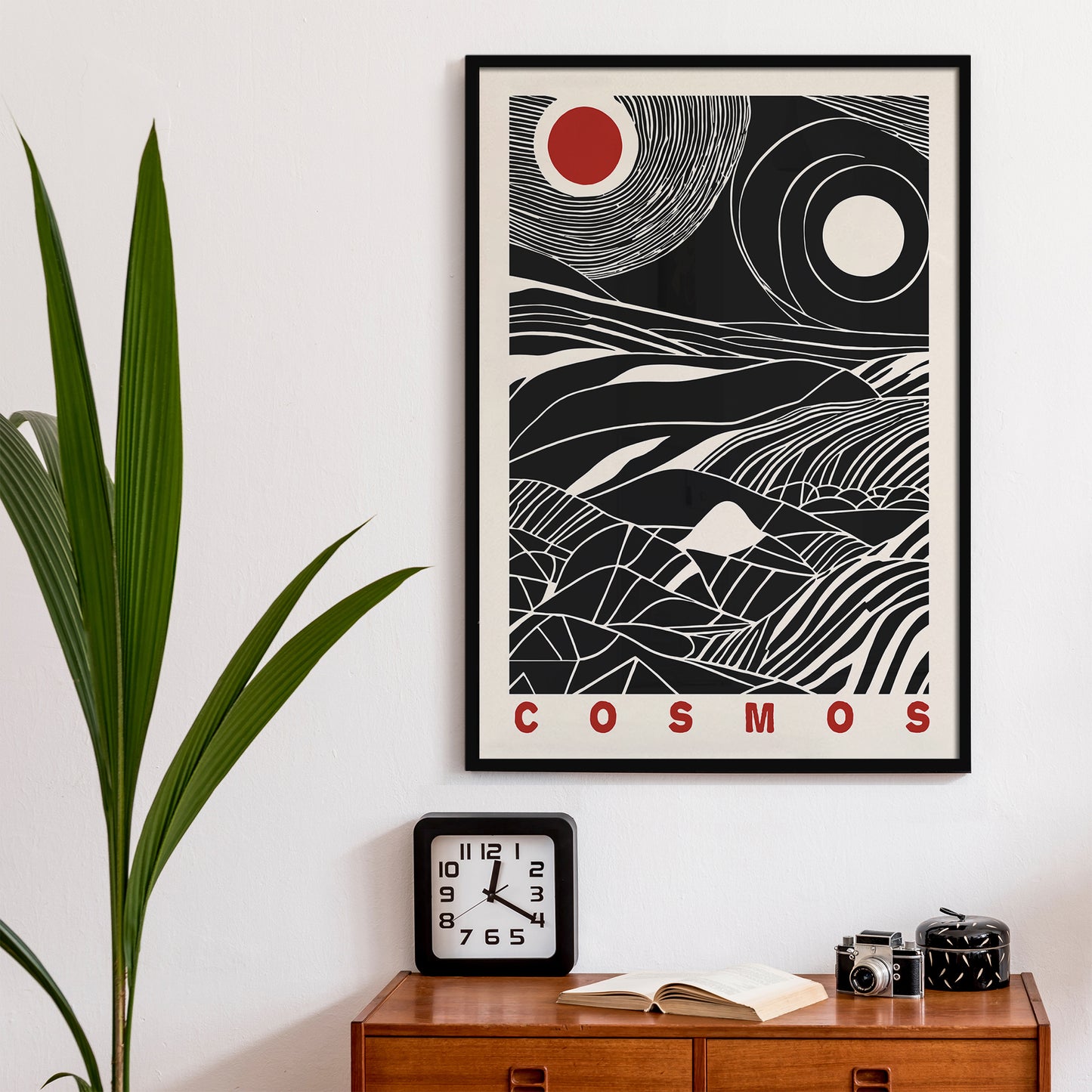 Black and White Cosmos Poster