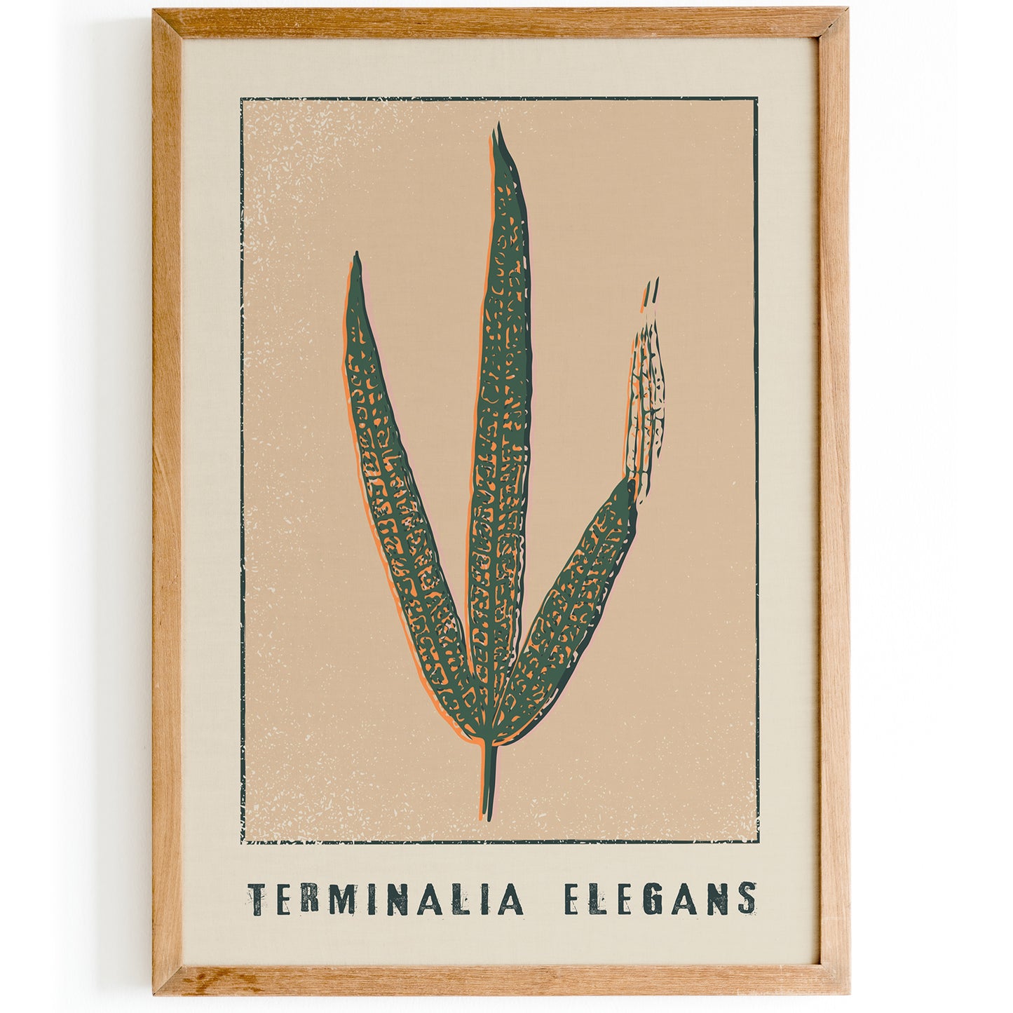 Terminalia Elegans Retro Floral Poster