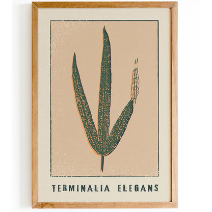 Terminalia Elegans Retro Floral Poster