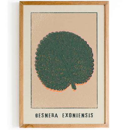 Gesnera Exoniensis Retro Floral Art