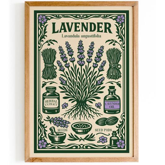 Lavender Herbal Vintage Art Poster