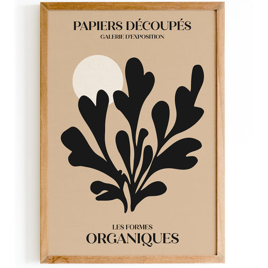 Papiers Decoupes, Les Formes Organiques Poster