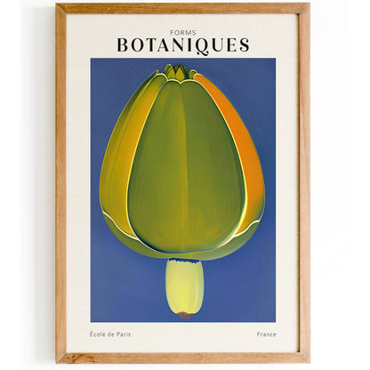 Forms Botaniques Poster