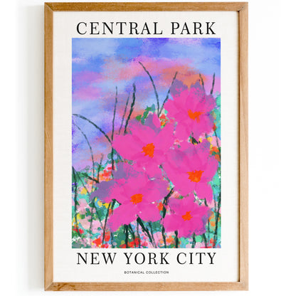 Central Park, New York City Poster