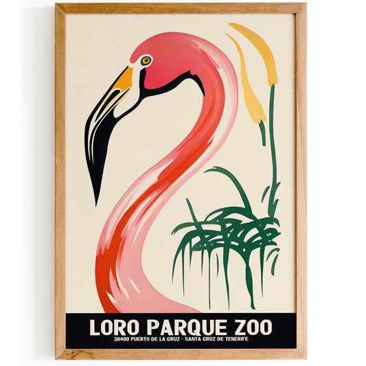 Loro Parque Zoo - Flamingo Wall Art