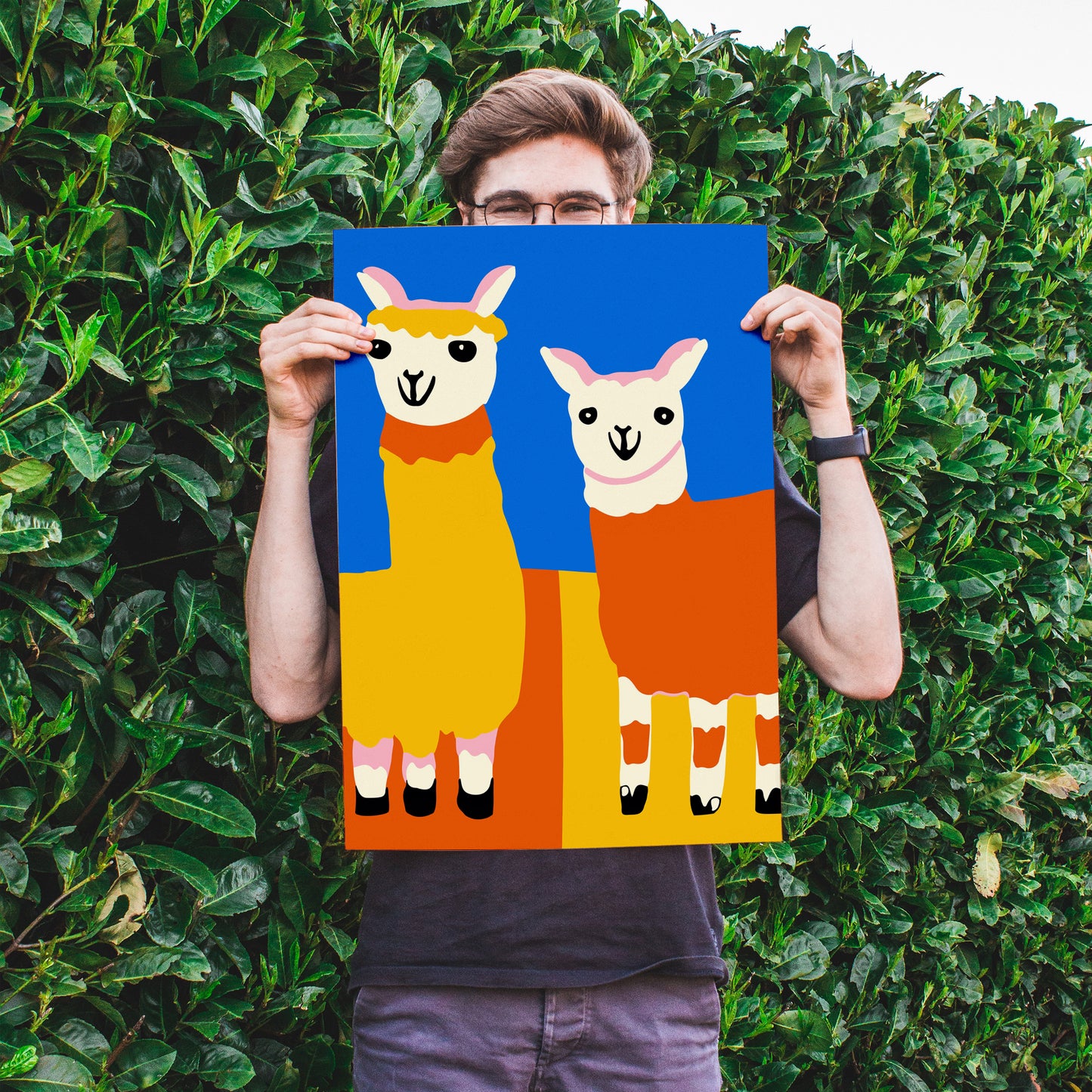 Cute Alpacas Wall Art Print