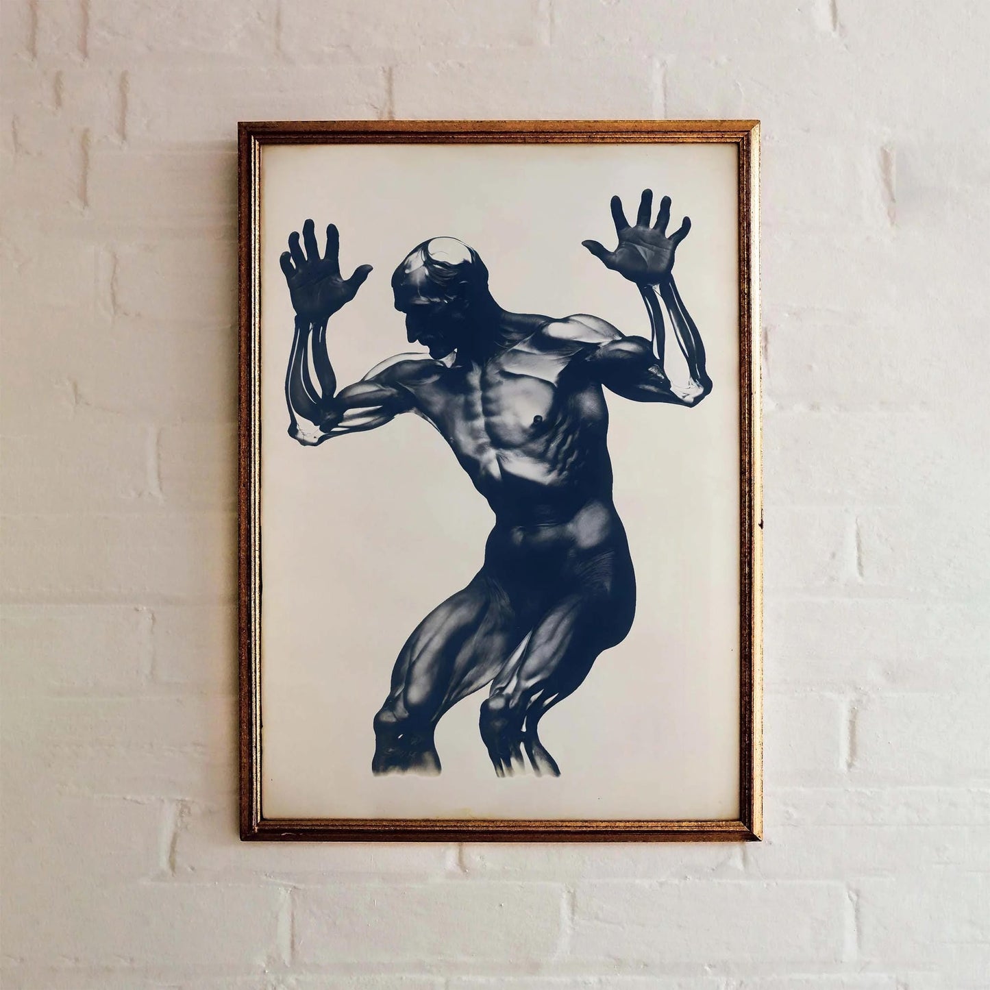 Dynamic Anatomy Wall Art