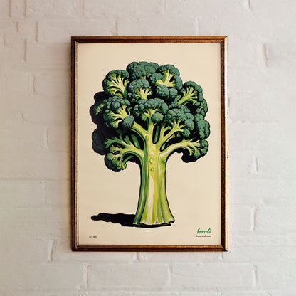 Fresh Broccoli Botanical Art Print