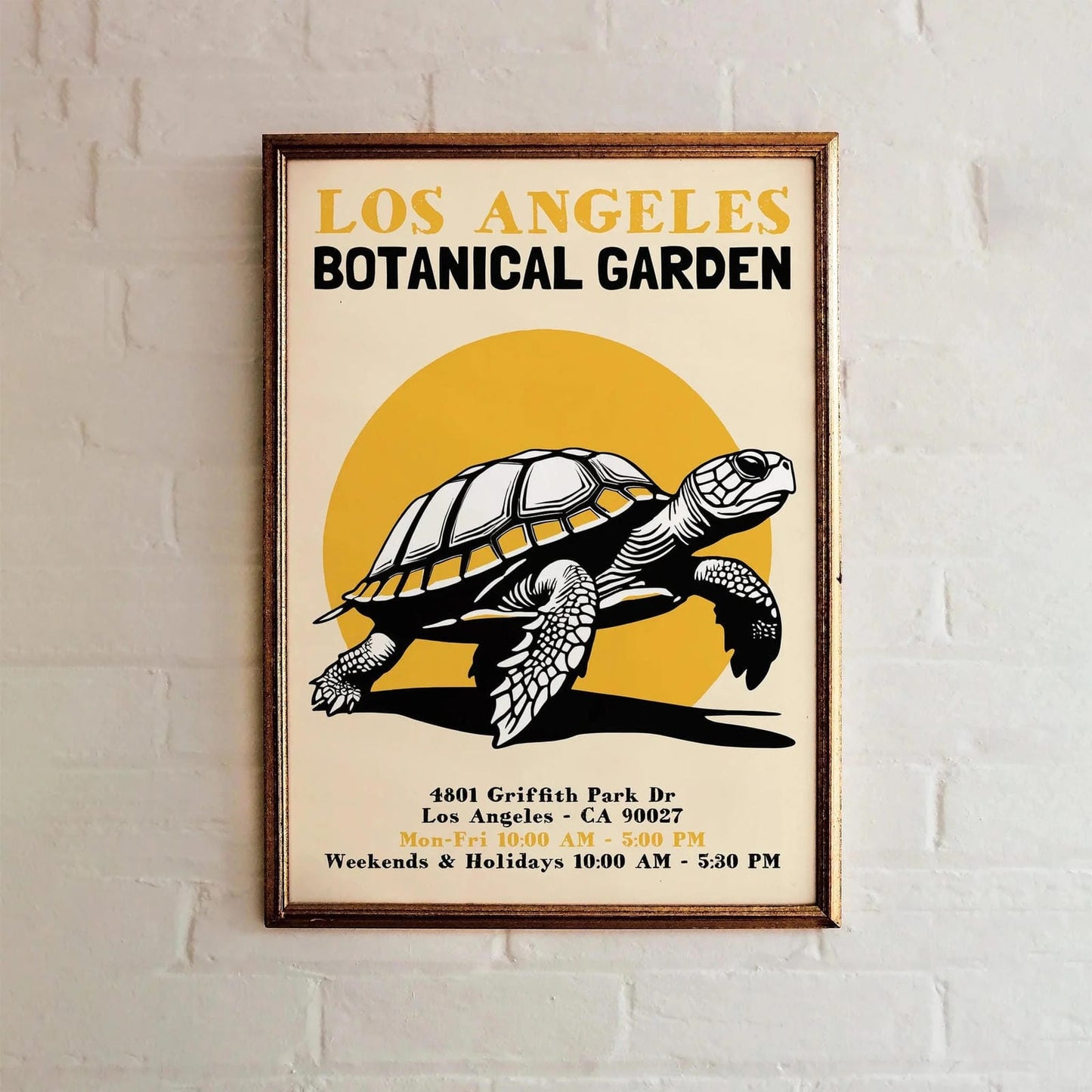 LA Botanical Garden Turtle Poster