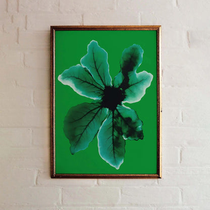 Organic Glow Wall Art Print