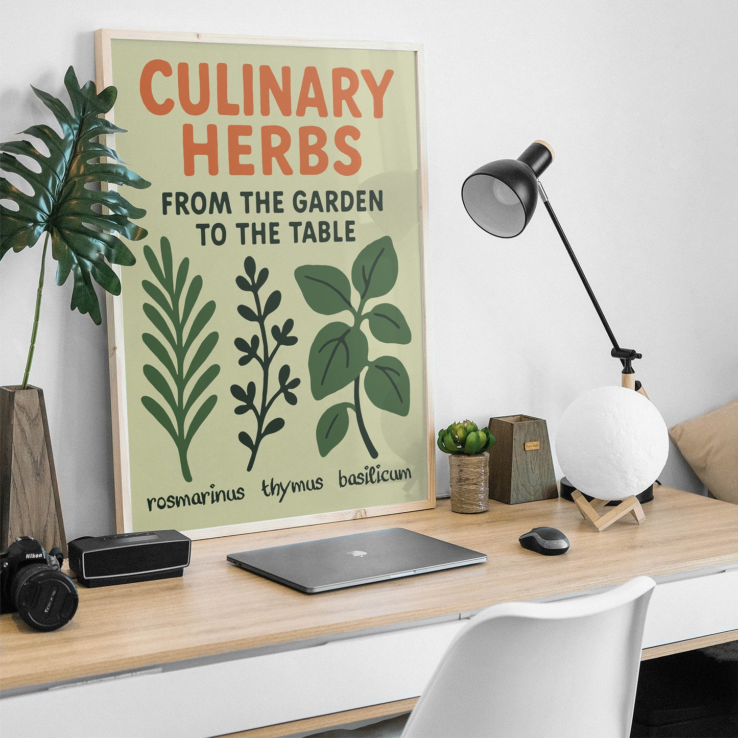 Culinary Herbs Botanical Poster