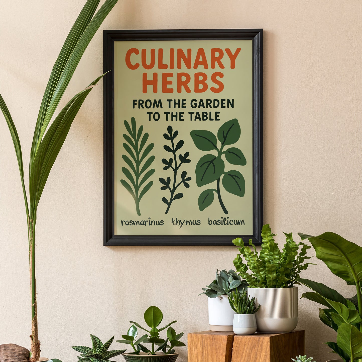 Culinary Herbs Botanical Poster