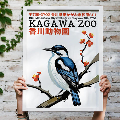 Kagawa Zoo Japanese Bird Poster