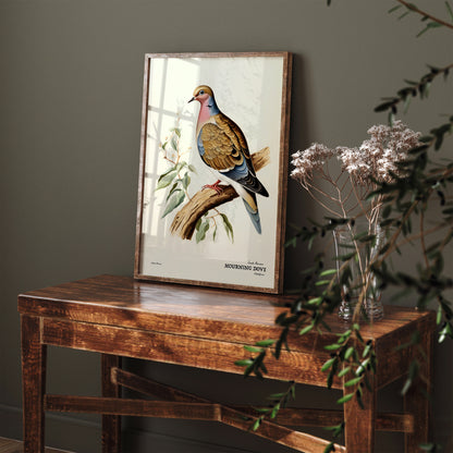 Mourning Dove Vintage Bird Poster