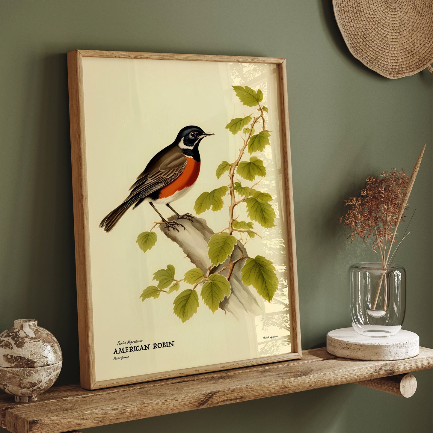 American Robin Vintage Wall Poster