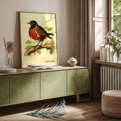 American Robin Vintage Bird Poster