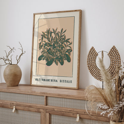 Alternanthera Sessilis Floral Wall Art