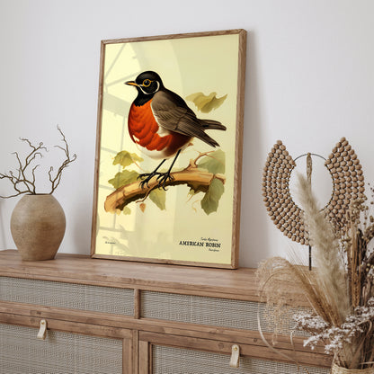 American Robin Vintage Bird Poster