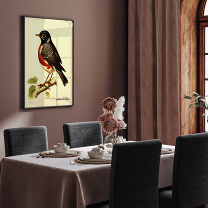 American Robin Vintage Bird Artwork Poster