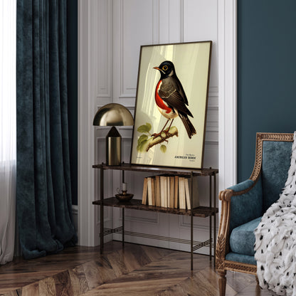 American Robin Vintage Bird Artwork Poster