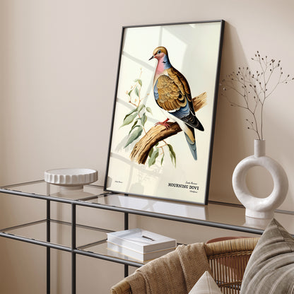 Mourning Dove Vintage Bird Poster